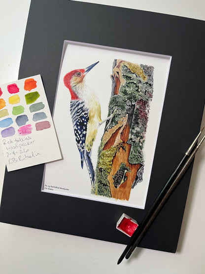 Giclee print of a red-bellied woodpecker perched on mossy tree bark with detailed forest textures displayed in a black mat.