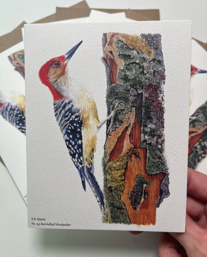 Single notecard printed with the red-bellied woodpecker perched on mossy tree bark with detailed forest textures painting.