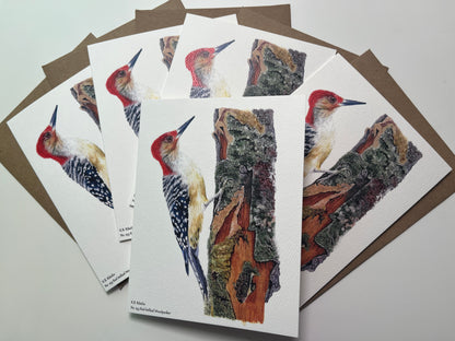 Notecard set featuring the red-bellied woodpecker perched on mossy tree bark with detailed forest textures artwork.