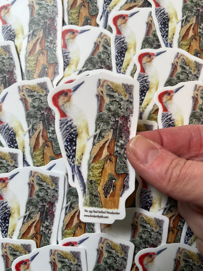 Sticker of the red-bellied woodpecker perched on mossy tree bark with detailed forest textures artwork.
