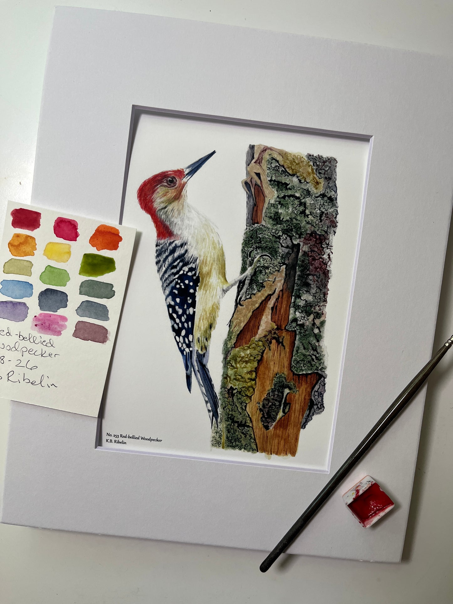 Giclee print of a red-bellied woodpecker perched on mossy tree bark with detailed forest textures displayed in a white mat.