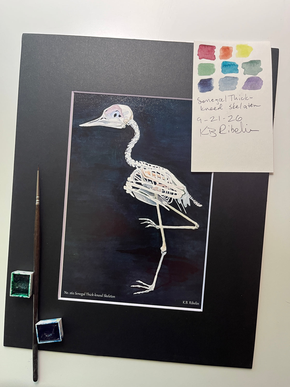 Giclee print of a senegal thick‑knee bird skeleton study on dark background displayed in a black mat.