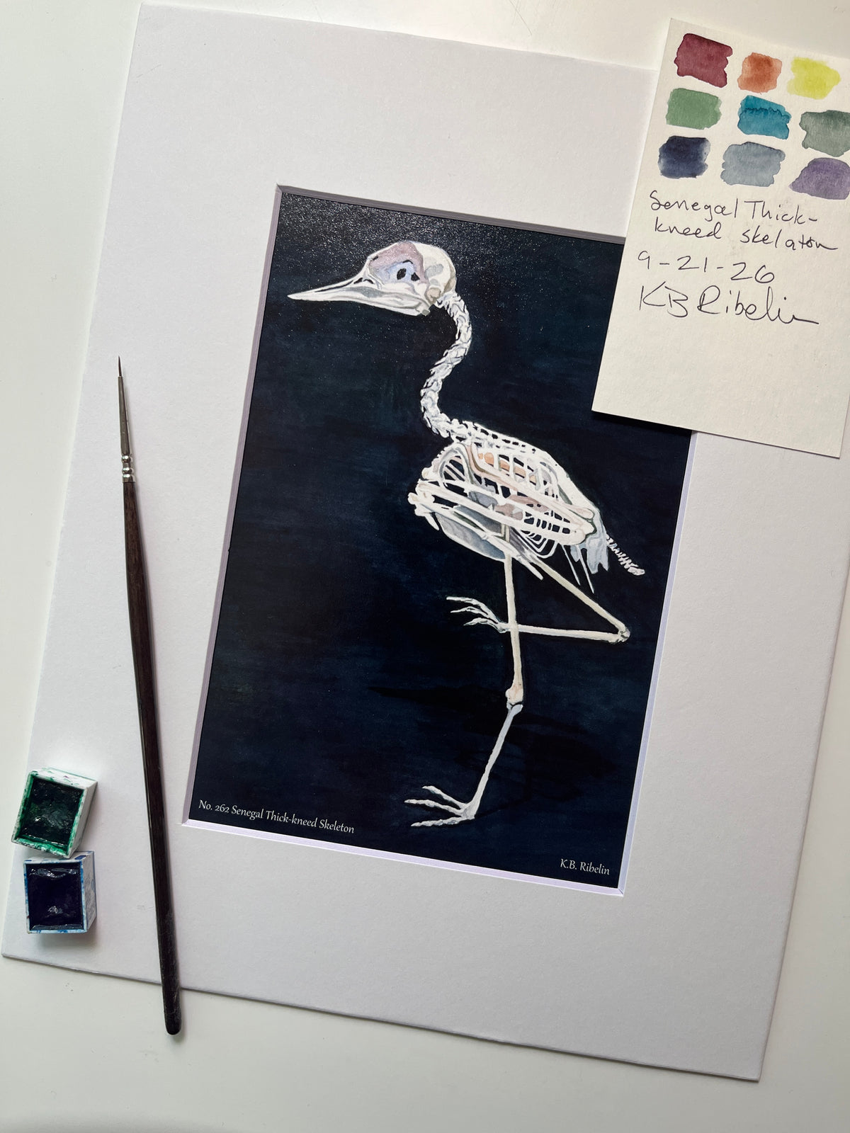 Giclee print of a senegal thick‑knee bird skeleton study on dark background displayed in a white mat.