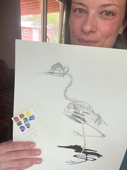 Artist holding the original painting of a senegal thick‑knee bird skeleton study on white background, showing the artwork clearly.