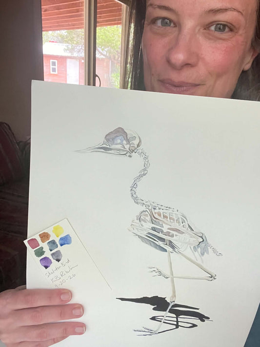 Artist holding the original painting of a senegal thick‑knee bird skeleton study on white background, showing the artwork clearly.