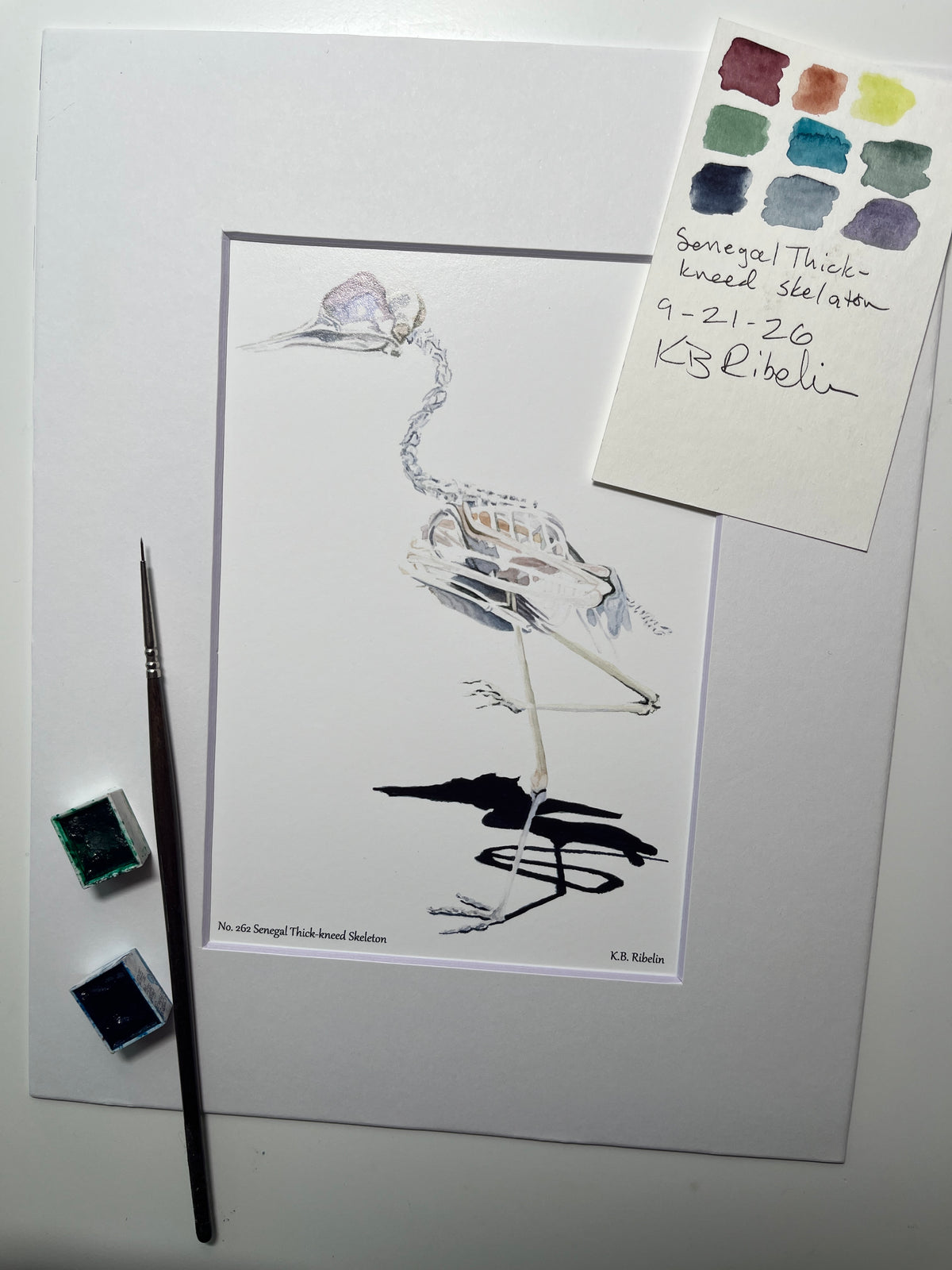 Giclee print of a senegal thick‑knee bird skeleton study on white background displayed in a white mat.