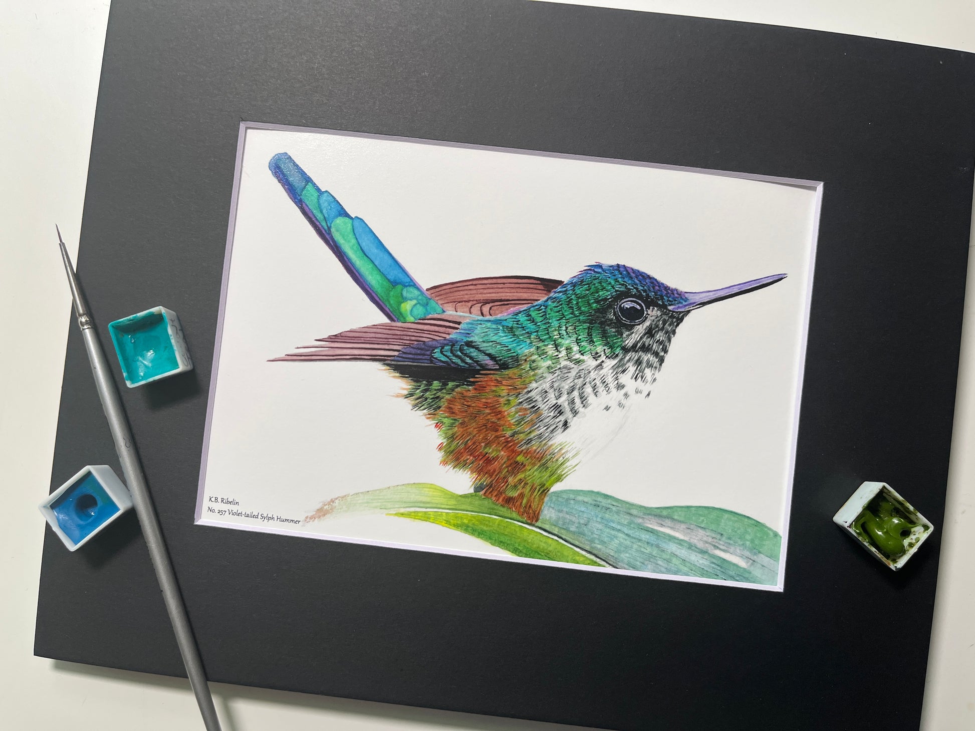 Giclee print of a violet‑tailed sylph hummingbird with emerald body and long violet tail streamers displayed in a black mat.