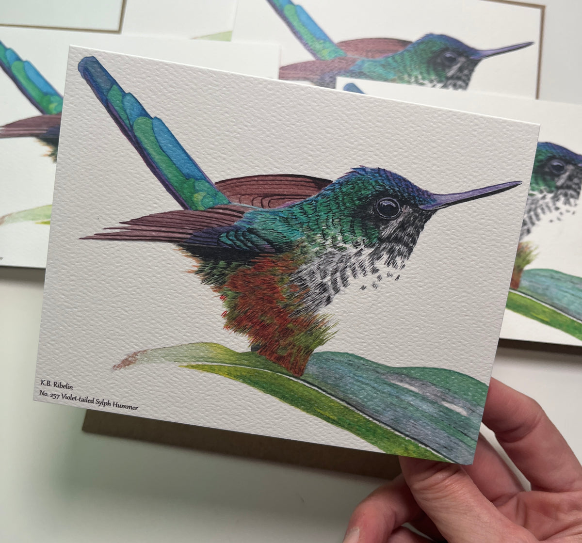 Single notecard printed with the violet‑tailed sylph hummingbird with emerald body and long violet tail streamers painting.