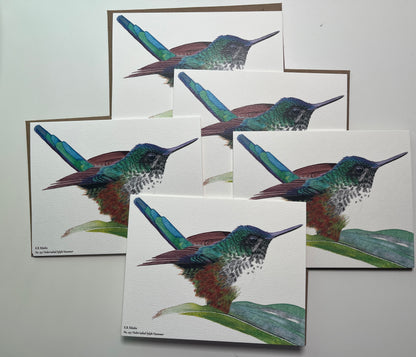Notecard set featuring the violet‑tailed sylph hummingbird with emerald body and long violet tail streamers artwork.