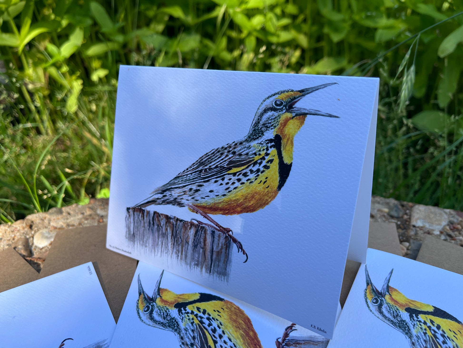 Western Meadowlark - Bird Art by KB - Notecard