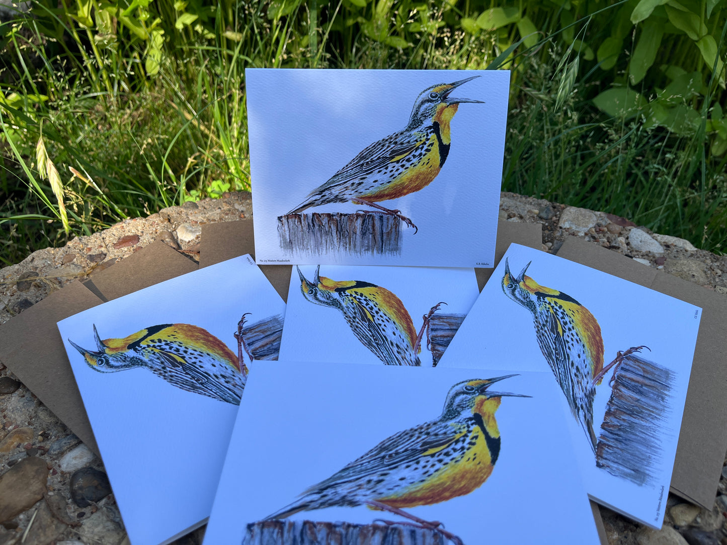 Western Meadowlark - Bird Art by KB - Notecard Set