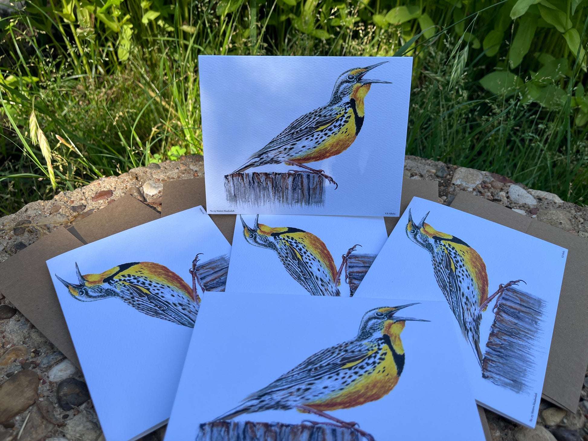 Western Meadowlark - Bird Art by KB - Notecard Set