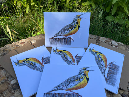 Western Meadowlark - Bird Art by KB - Notecard Set