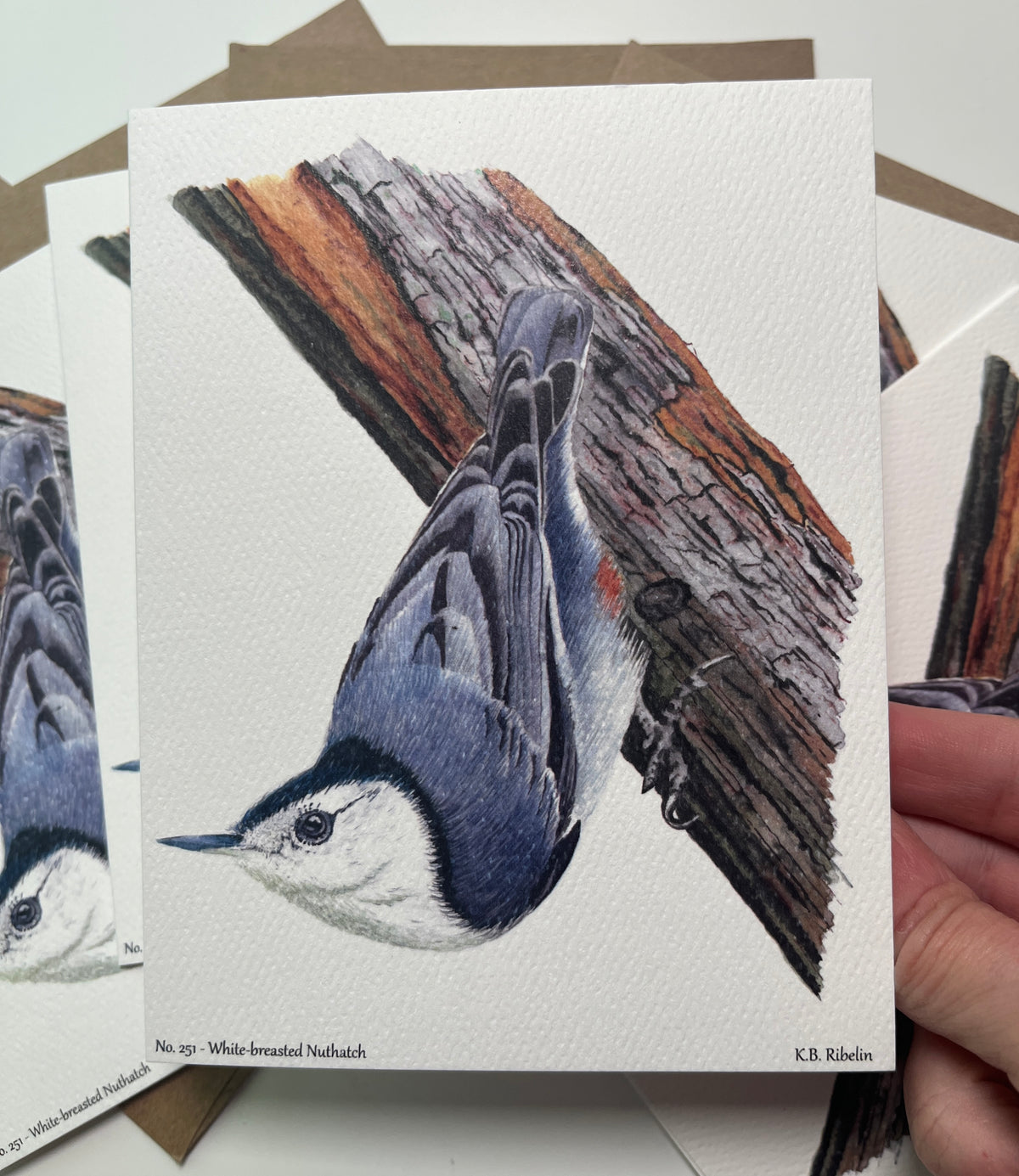 Single notecard printed with the white-breasted nuthatch perched on a tree trunk painting.
