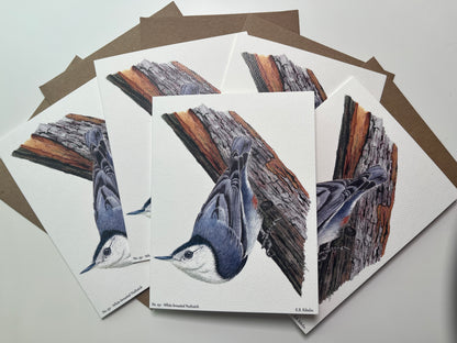 Notecard set featuring the white-breasted nuthatch perched on a tree trunk artwork.