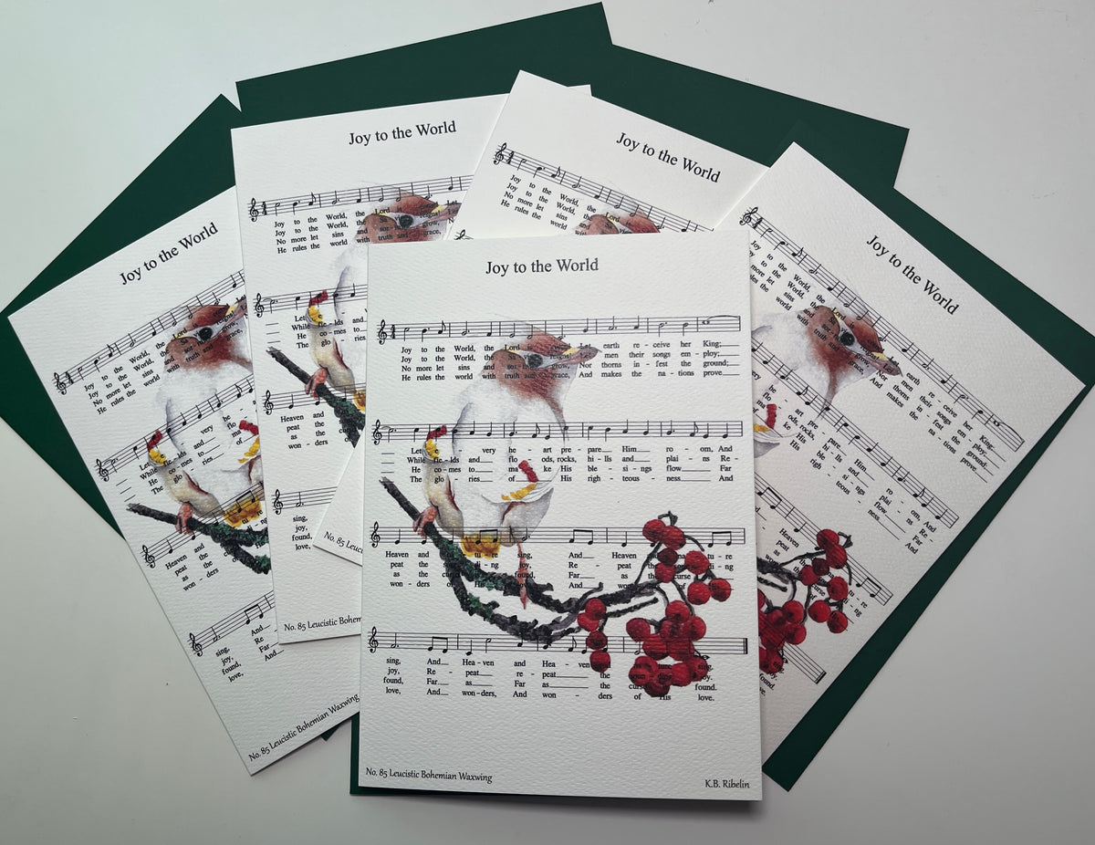Christmas 2026 notecard set featuring Joy to the World with leucistic Bohemian Waxwing artwork by KB.