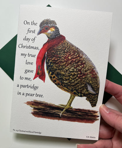 Christmas 2026 notecard featuring Chestnut‑necked Partridge and partridge in a pear tree illustration by KB.