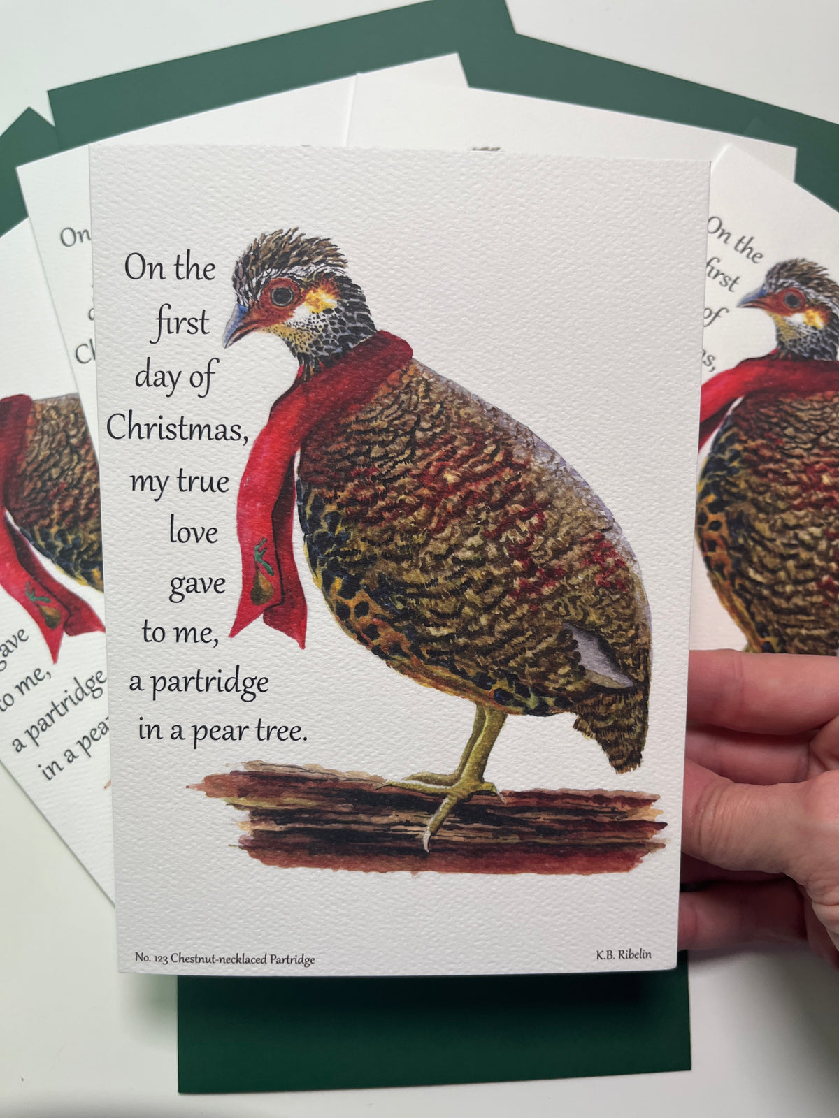 Christmas 2026 notecard featuring Chestnut‑necked Partridge and partridge in a pear tree illustration by KB.