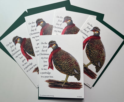 Christmas 2026 notecard set featuring Chestnut‑necked Partridge and partridge in a pear tree illustration by KB.