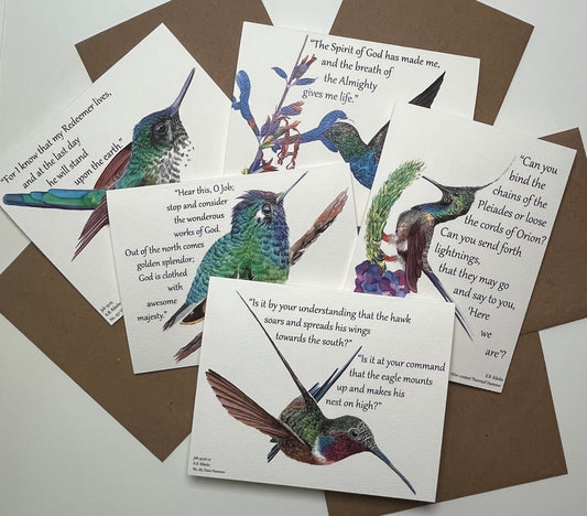 Hummers of Hope 5 notecard featuring verses from Job and bird artwork by KB