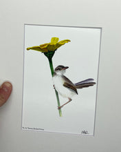 Load image into Gallery viewer, Tawny Flanked Prinia (Adult)

