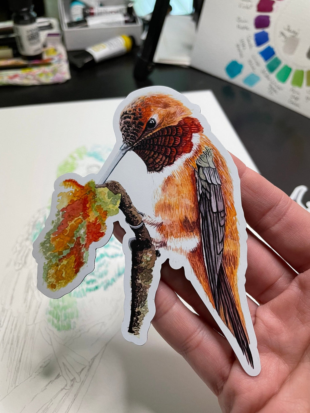 Rufous Hummer