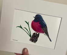 Load image into Gallery viewer, Pink Robin
