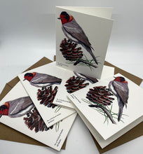 Load image into Gallery viewer, Red-faced Warbler
