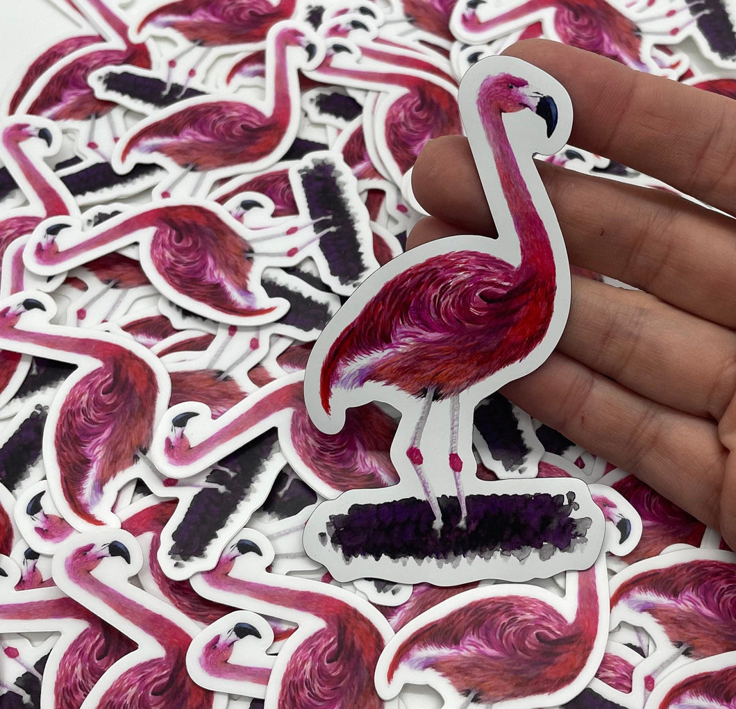 Flamingo