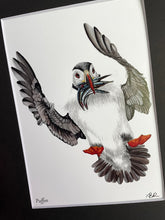 Load image into Gallery viewer, Puffin #52
