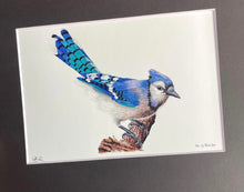 Load image into Gallery viewer, Blue Jay #75
