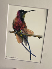 Load image into Gallery viewer, Crimson Topaz Hummer

