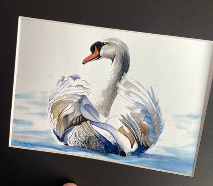 Mute Swan - Bird Art by KB