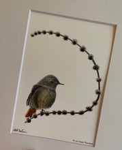 Load image into Gallery viewer, Black Redstart #90
