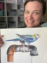 Load image into Gallery viewer, Pale-headed Rosella

