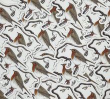 Load image into Gallery viewer, European Robin
