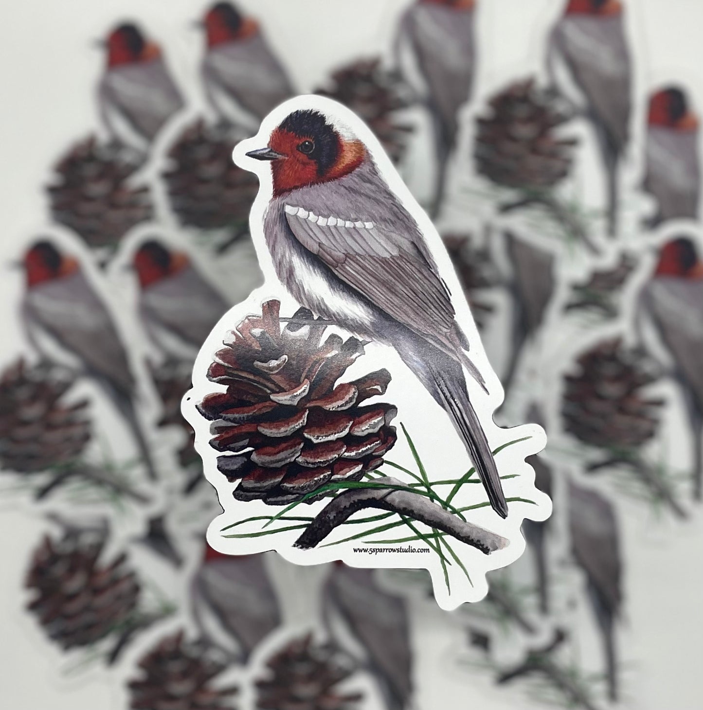 Red-faced Warbler - Bird Art by KB