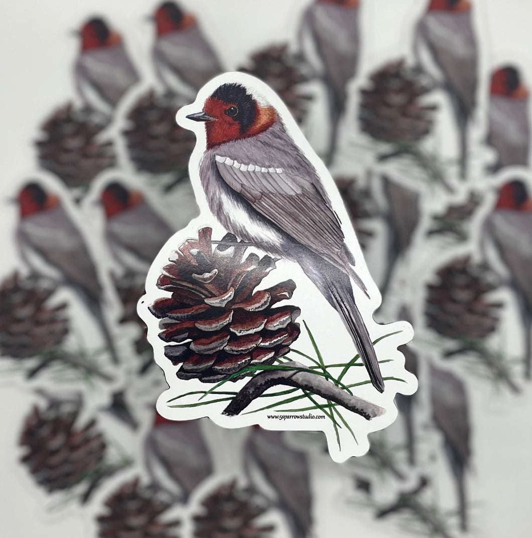 Red-faced Warbler #91