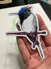 Load image into Gallery viewer, Horned Sungem Hummer
