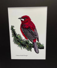 Load image into Gallery viewer, Crimson-backed Tanager #45
