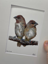 Load image into Gallery viewer, Spice Finch
