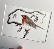 Load image into Gallery viewer, European Robin
