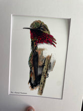Load image into Gallery viewer, Anna’s Hummer
