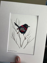 Load image into Gallery viewer, Red-backed Fairywren
