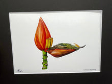 Load image into Gallery viewer, Little Green Sunbird
