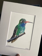 Load image into Gallery viewer, Broad-billed Hummer #29
