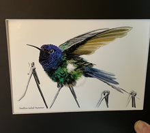 Load image into Gallery viewer, Swallow-tailed Hummer #67
