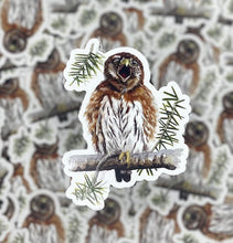 Load image into Gallery viewer, Northern Pigmy Owl
