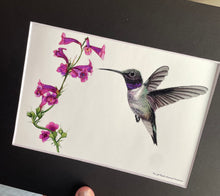 Load image into Gallery viewer, Black-chinned Hummer #98
