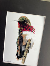 Load image into Gallery viewer, Anna&#39;s Hummingbird - Giclee Print Matted
